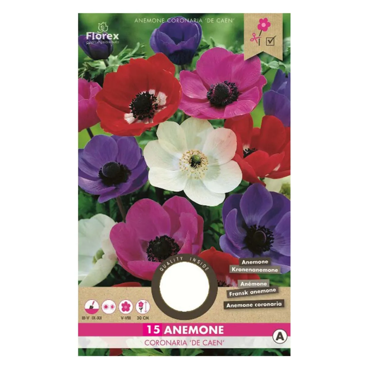 Anemone De Caen mix - 15 løg