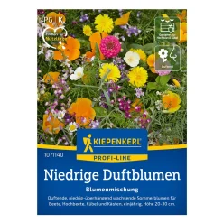 Blomsterblanding Duftende blomster - 2-4 m2