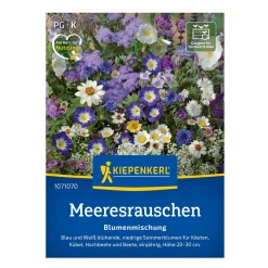 Blomsterblanding til altan, Blå blomster - 3-4 m2