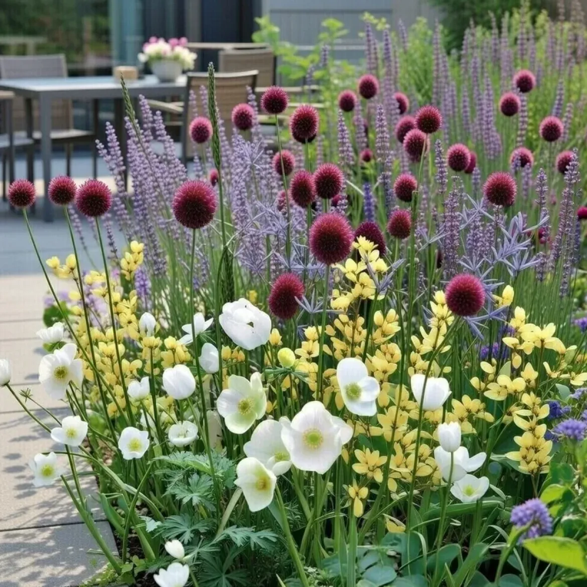 Blomsterløg 'Sommerfugleblanding'