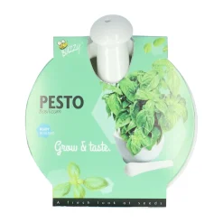 Dyrk selv pesto-kit