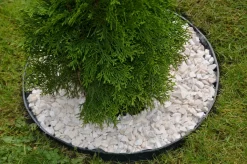 Flexibel Græskant 60x800 mm
