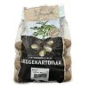 Gala læggekartofler - 1,5 kg. (middel tidlig)