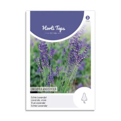 Ægte lavendel frø