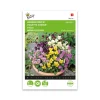 Hornviol frø, Bambini mix