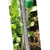 Jordtermometer