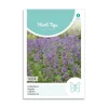 Katteurt frø "Nepeta"