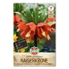 Kejserkrone 'Rubra'