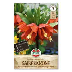 Kejserkrone 'Rubra'