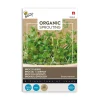 Økologiske broccolispirer frø 20 g