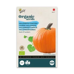 Økologisk Græskar frø, Jack O' Lantern