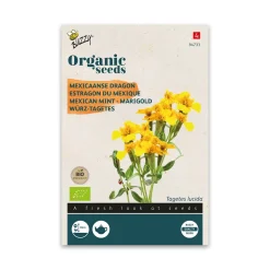 Økologisk Lakridstagetes frø "Marigold"