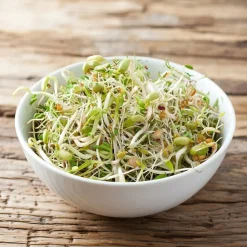 Økologisk salatmix spirer frø - 250 g