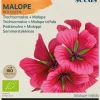 Økologisk Trompetkatost frø "Red Queen"