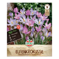 Krokus Botanisk Mix 'Crocus tommasinianu'