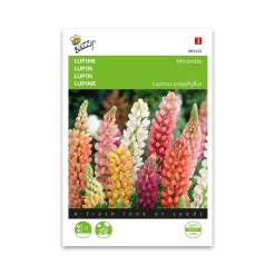 Lupin dværg blanding frø "Minarette" - Buzzy