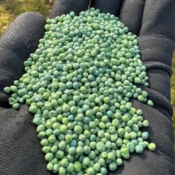 Osmocote gødningsperler - 550 g