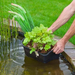 Oval kurv til vandplanter - 15 x 40 x 24 cm