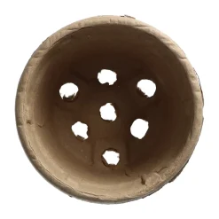 Papirspotter til forspiring, 10,5 cm - 8 stk.