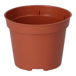 Plantepotte i plast Ø6 cm - 30 stk.