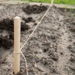 Plantesæt