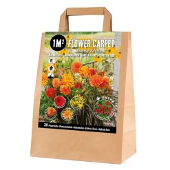 Pose med blandede blomsterløg, Sunny festival - 1 m2