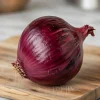 Rødløg frø, Noordhollandse Blood Red