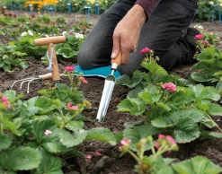 Smal plantespade