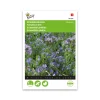 Sommerblomster frø, blå - mix