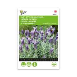 Sommerfuglelavendel frø