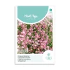 Stenhøjsbrudeslør frø "Gypsophila Pink"