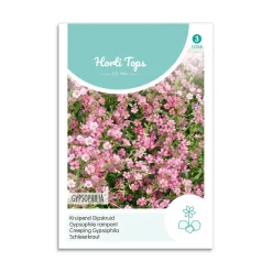 Stenhøjsbrudeslør frø "Gypsophila Pink"