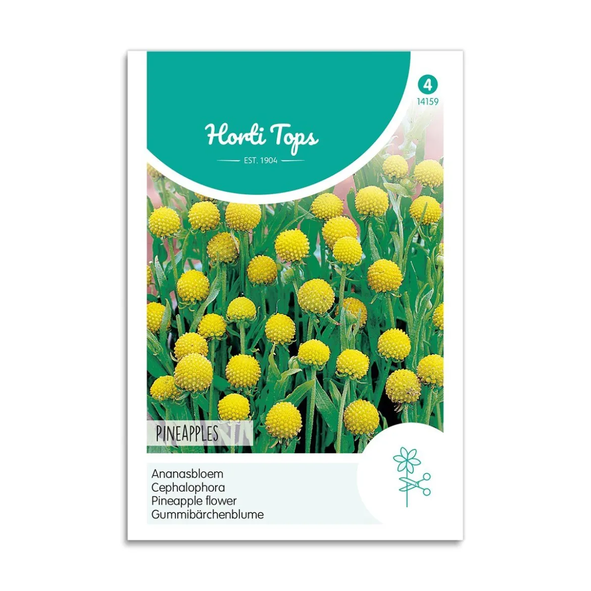 Trommestik frø "Pineapples"