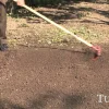 Turfline "Eco lawn" græsfrø med mikrokløver - 1,0 kg.