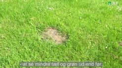 Turfline" Turbo" græsfrø - 7,5 kg.