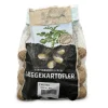 Twister læggekartofler - 1,5 kg. (tidlig/middel)