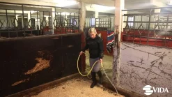 Vida Strøpiller - strøelse til heste